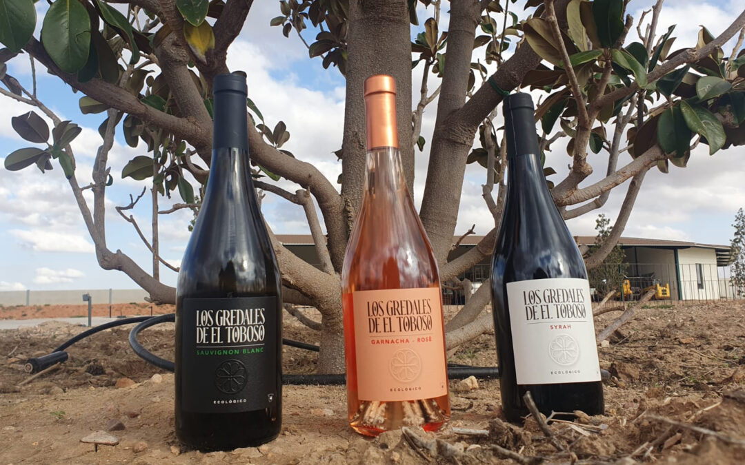 IX Fiesta POP, 25-26. Bodega Los Gredales de El Toboso, vinos estelares de una Mancha que produce Leyendas