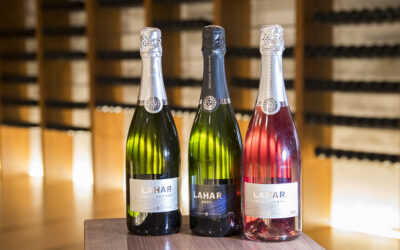 GDG All Stars 2026. Lahar, de Bodegas Naranjo, espumoso con alma de volcán