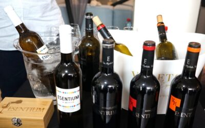 GDG All Stars 2026. Esentium, los vinos de Ribera para paladares inquietos